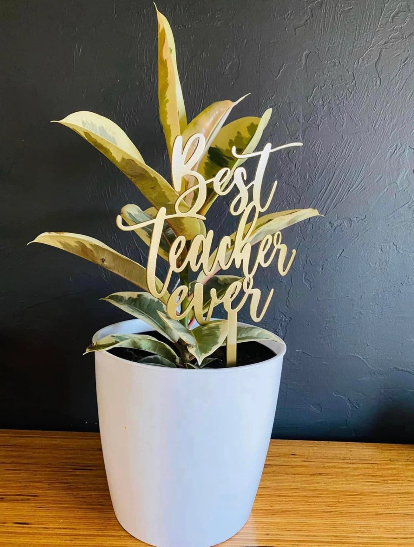 Plant Spike- Best Teacher Ever